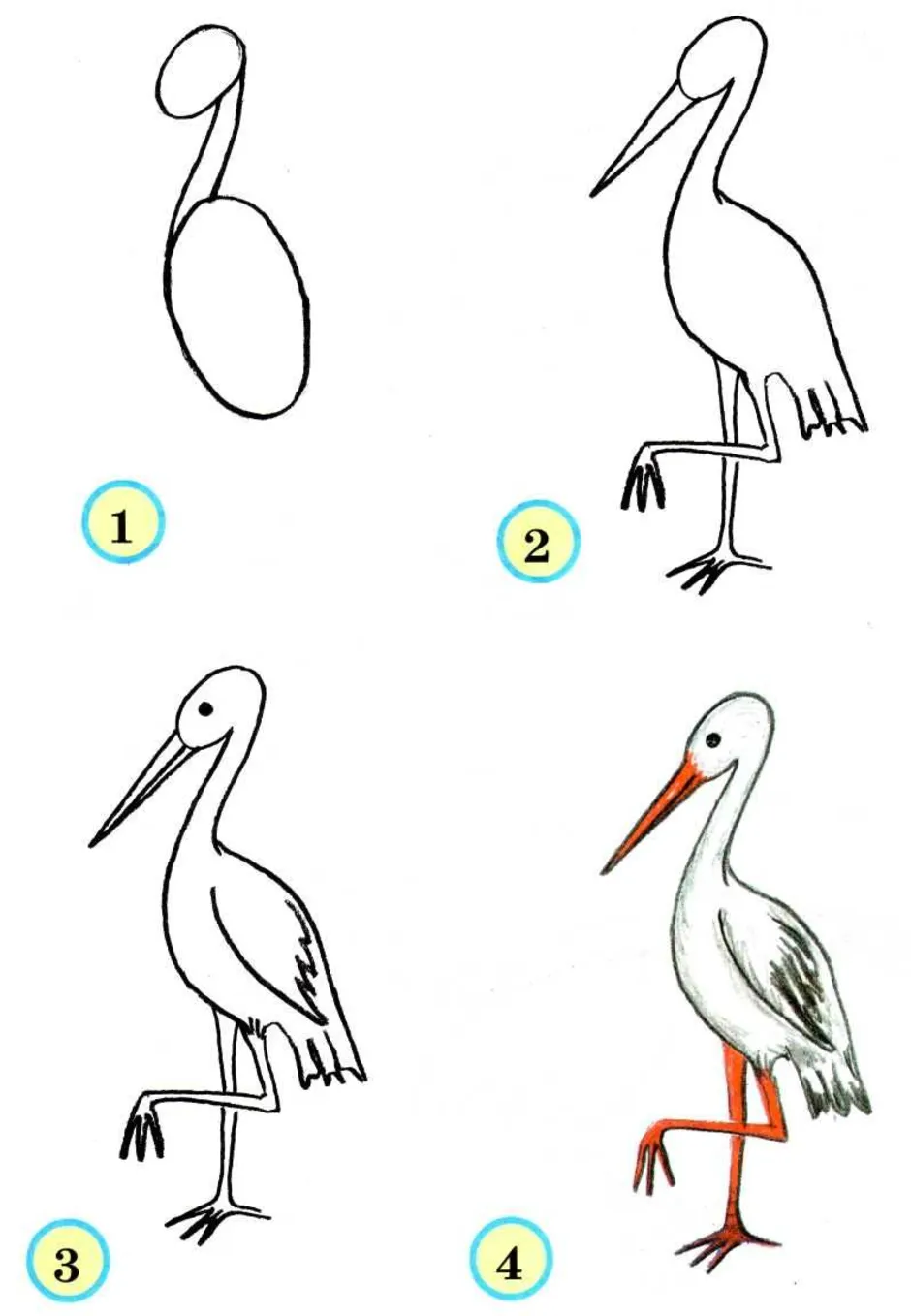Картинки как нарисовать птицу поэтапно