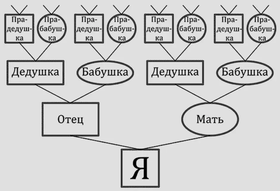 Родословная родословное древо история семьи 2 класс. Как составить генеалогическую схему. Как делать родословную схему. Как составить родословная семьи схема. Как составляется схема родословной.