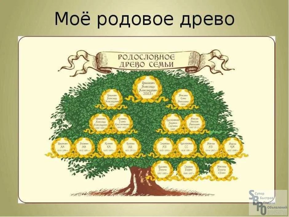 Составить родословное дерево. Семейное Древо. Родословная семьи. Генеалогическое дерево семьи. Составление дерева семьи.