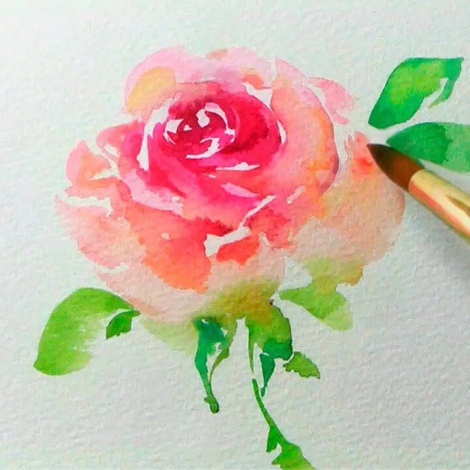 Painted rose. Роза акварелью для начинающих. Роза акварелью пошагово. Рисование акварелью для начинающих розы. Краска Розочка.