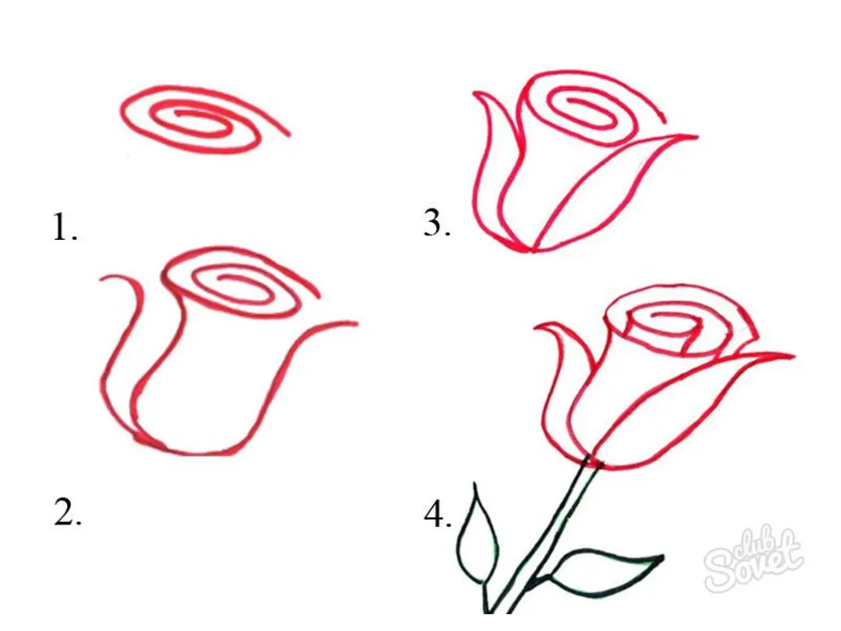 Розы рисунок для детей поэтапно