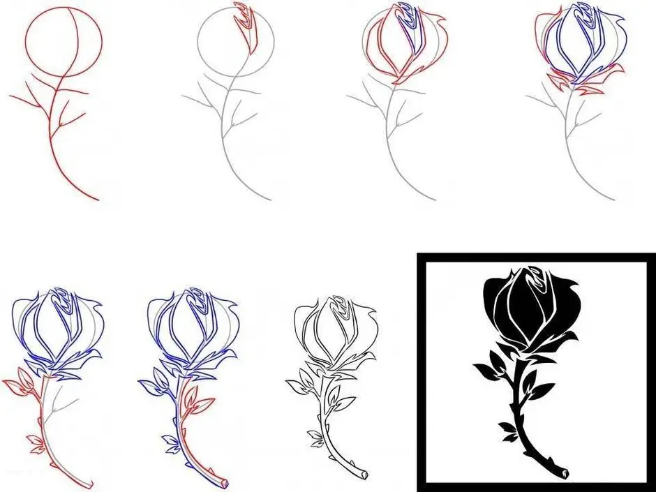 Как нарисовать розу поэтапно ручкой
