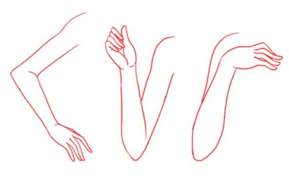 Рука на талии референс. Рисовка рук. Женская рука референс. Рука рисунок. Женская рука рисунок.