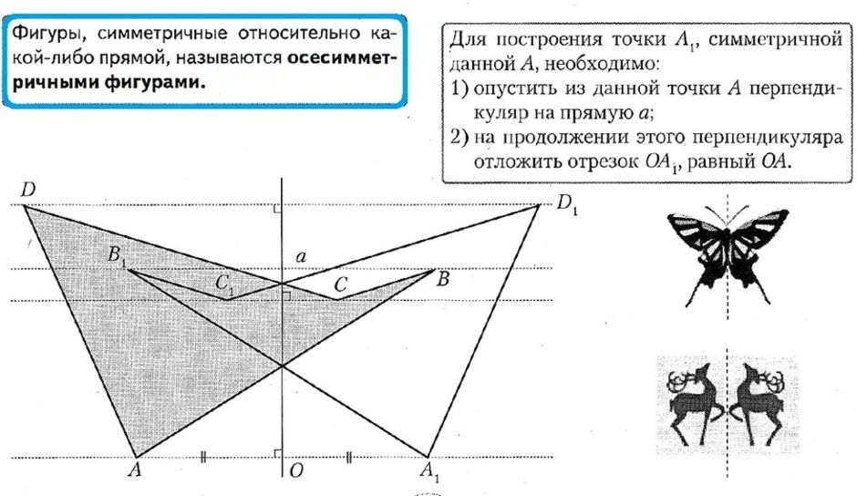 Как нарисовать фигуру симметричную относительно прямой 6 класс