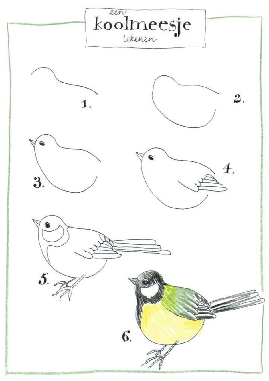 Поэтапное рисование птицы синицы