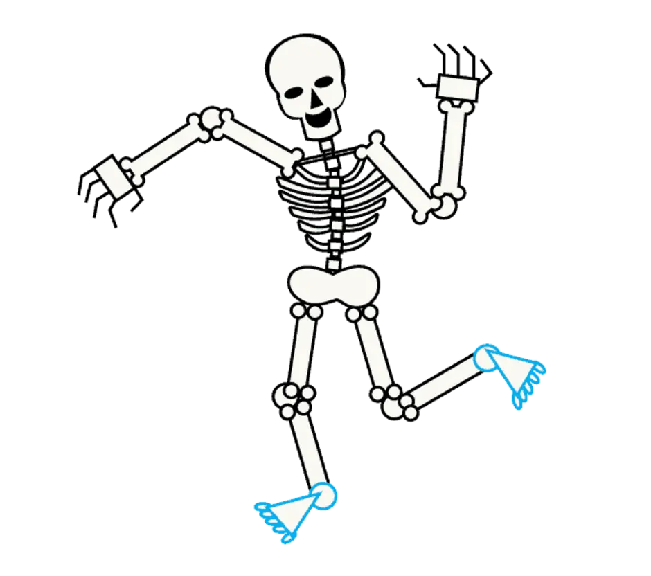 Скелет. Скелет человека. Скелет рисунок. Скелет для рисования. Как рисовать скелет