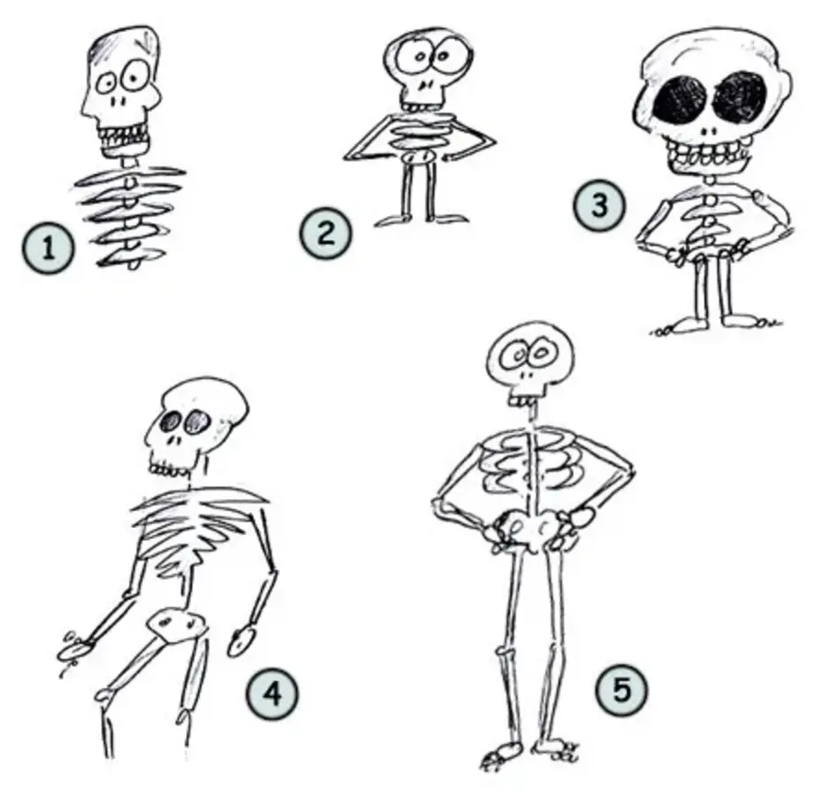Как нарисовать скелет человека поэтапно легко