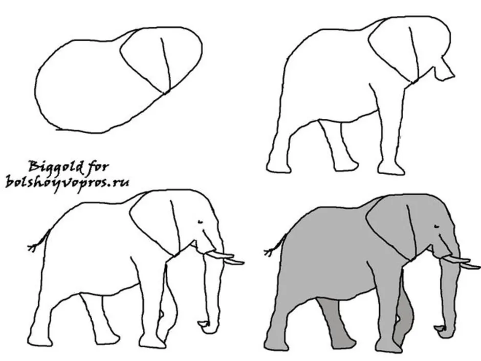 Как пошагово нарисовать слоненка
