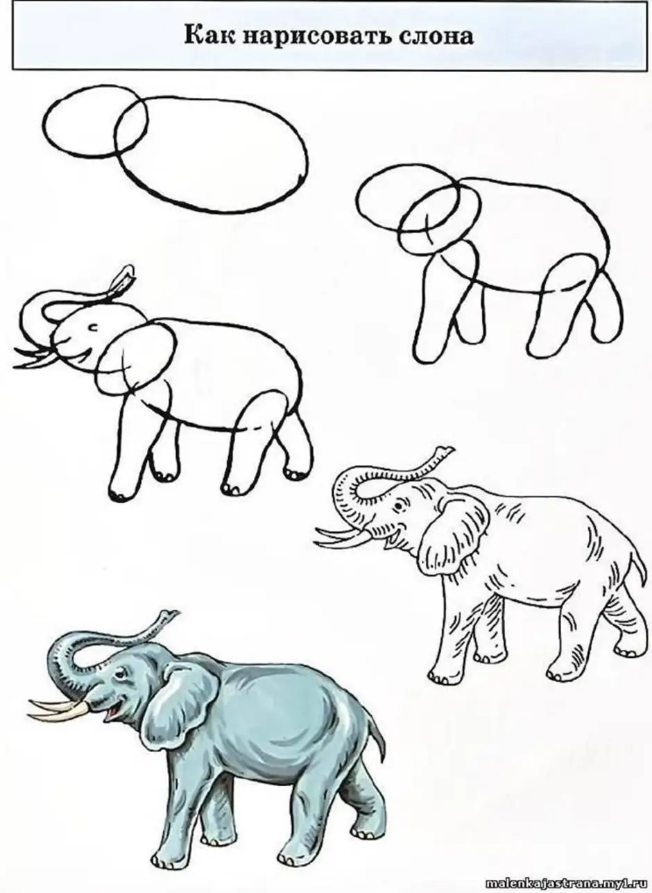 Слон поэтапное рисование для детей