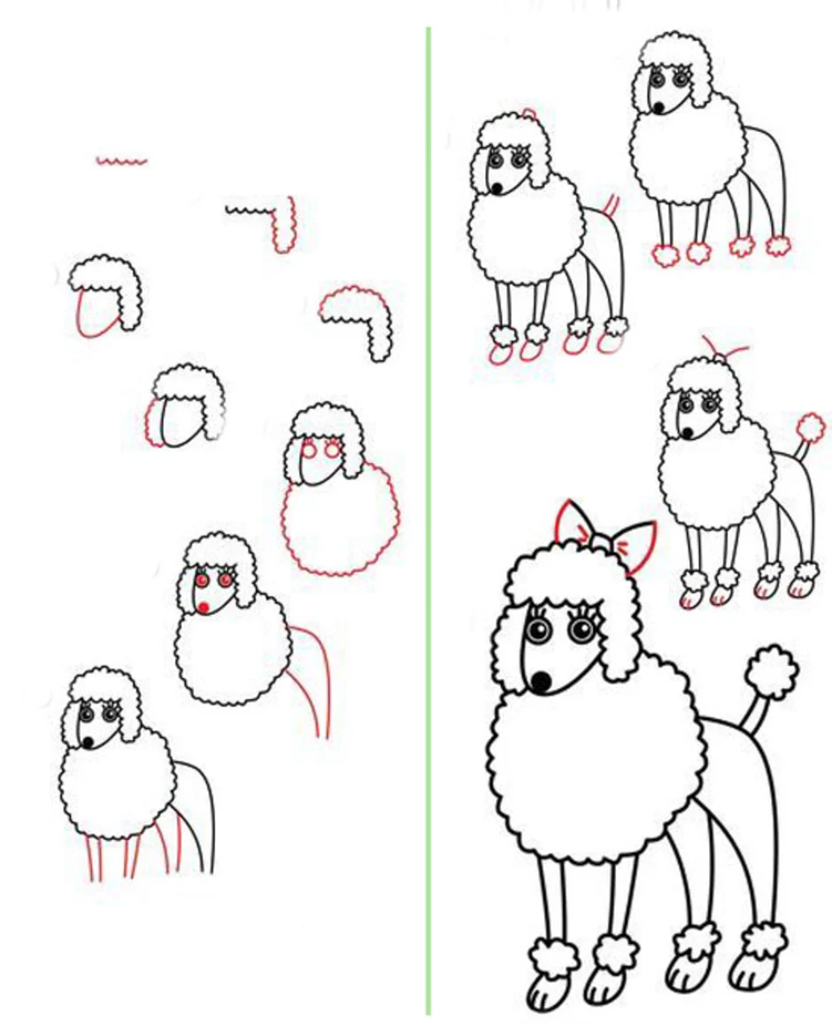 Рисуем собаку с детьми. Поэтапноное рисование собаки. Поэтапный рисунок собаки. Схема рисования собаки для детей. Поэтапное рисование собаки для детей.