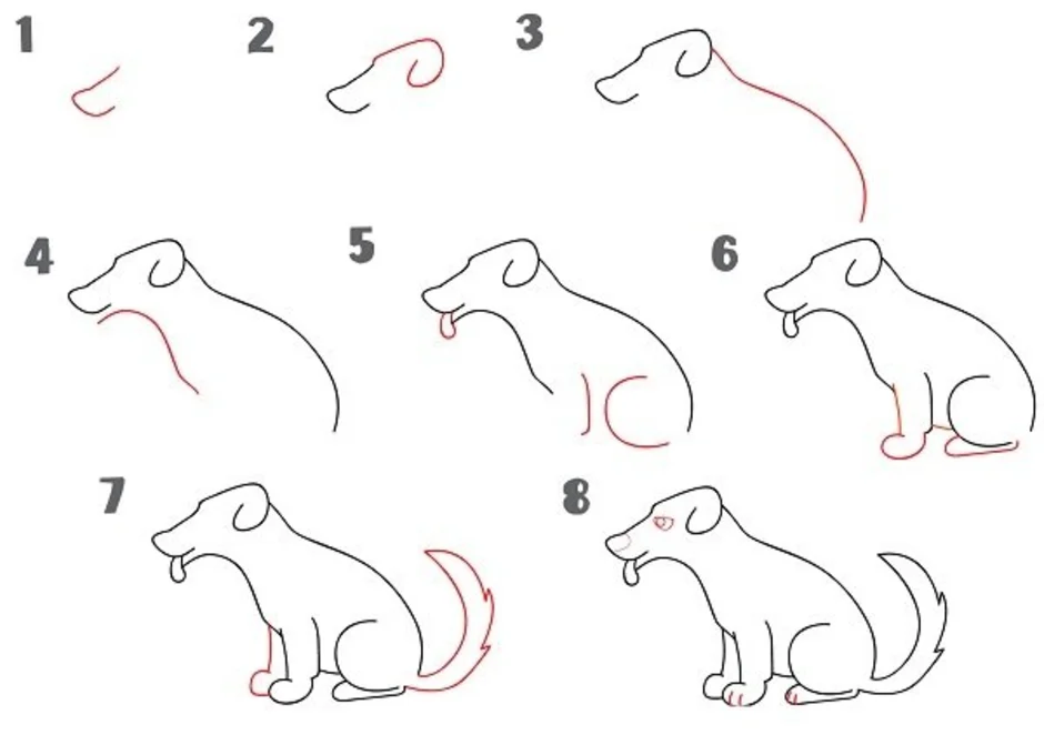 Как нарисовать собаку легко и поэтапно нарисовать