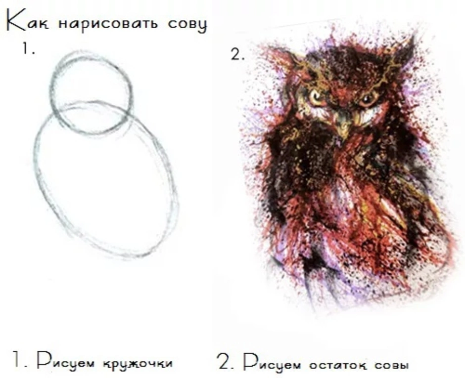 Рисуем сову прикол