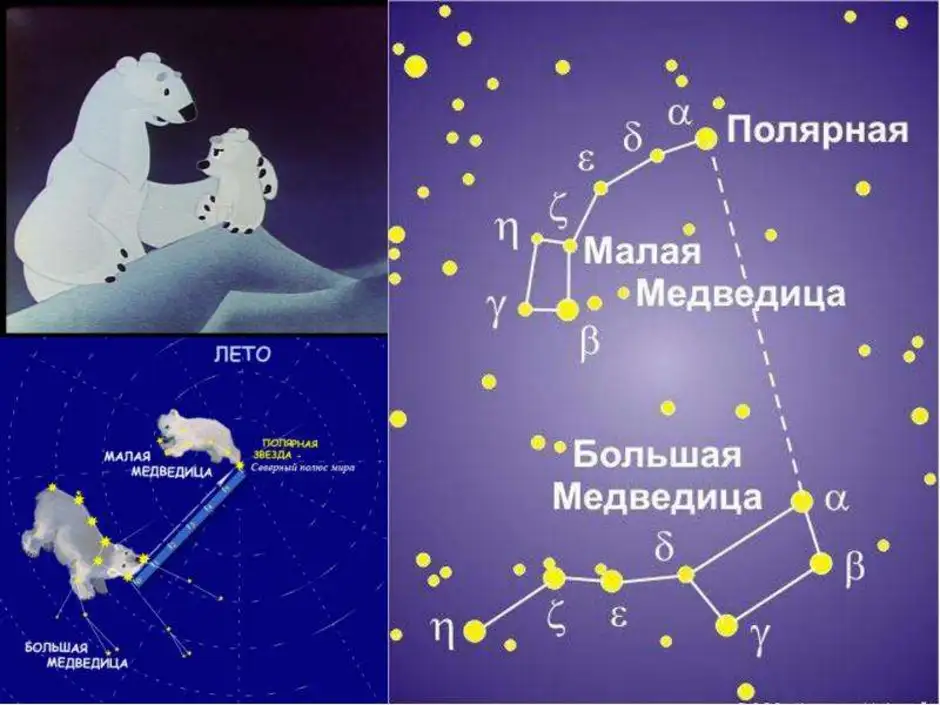 Рисунок малая медведица и большая медведица