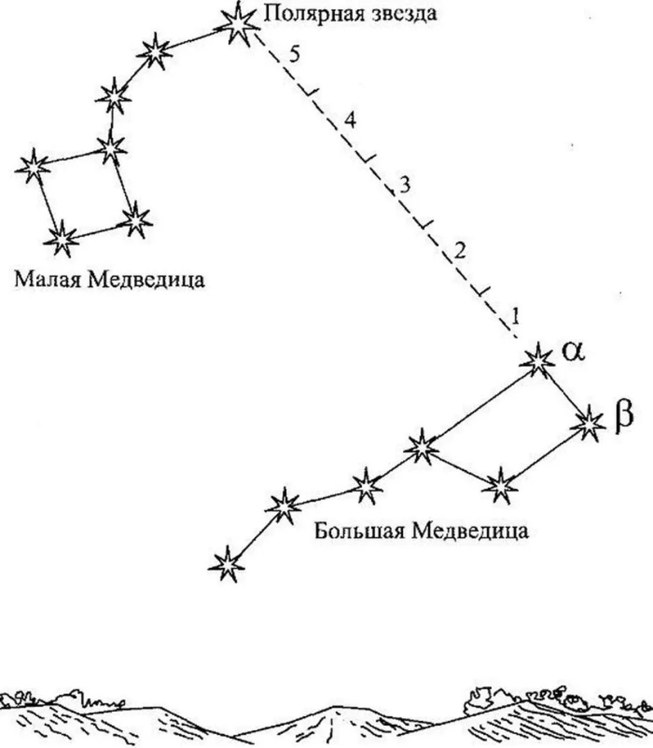 Большая и малая медведица созвездие картинки