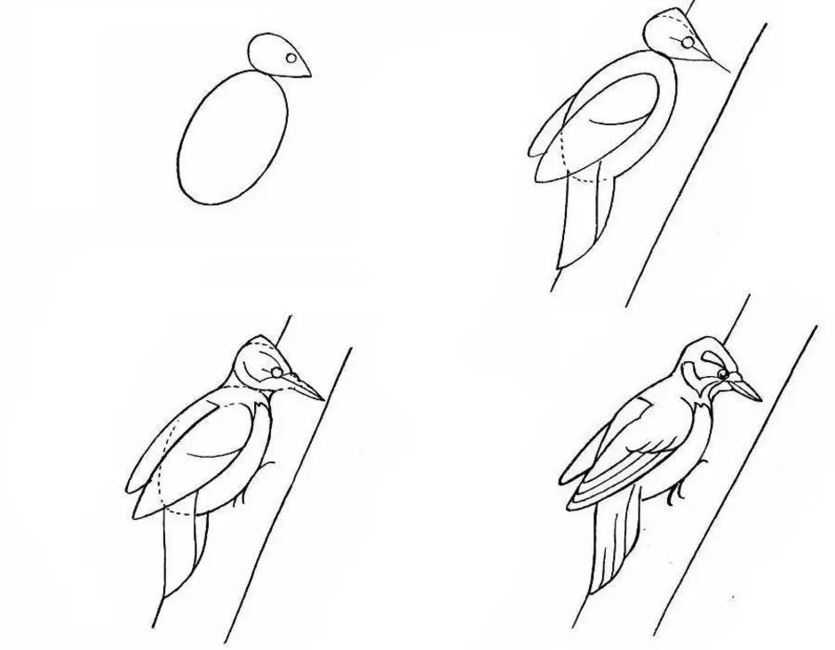 Как нарисовать скворца поэтапно