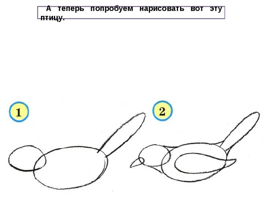 Как нарисовать сороку для детей