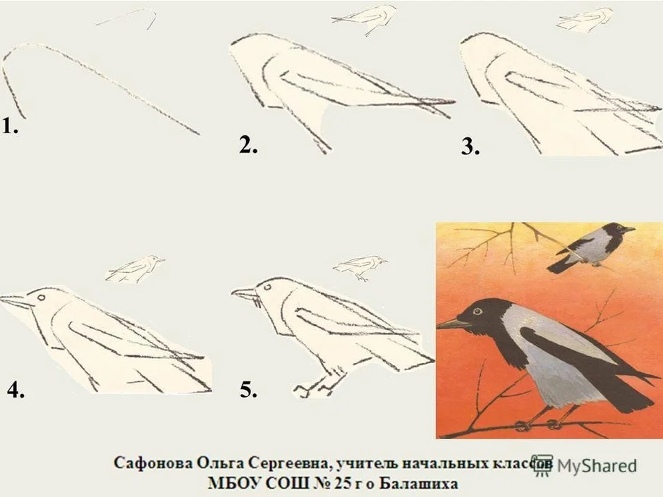 Поэтапное рисование птицы 2 класс презентация