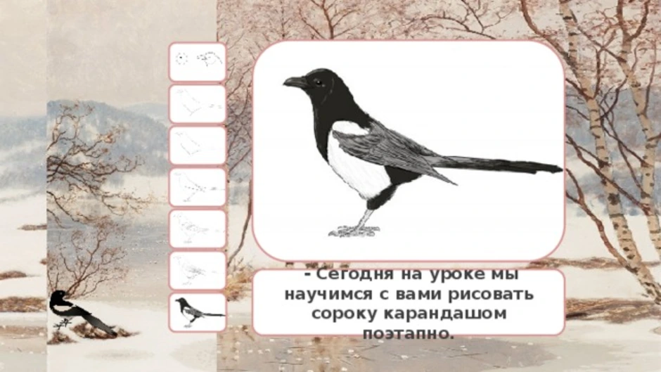 Сороки конспект. Рисование сорока белобока в подготовительной группе. Поэтапное рисование сороки. Рисование сорока оглянулась. Рисунок на тему сорока.