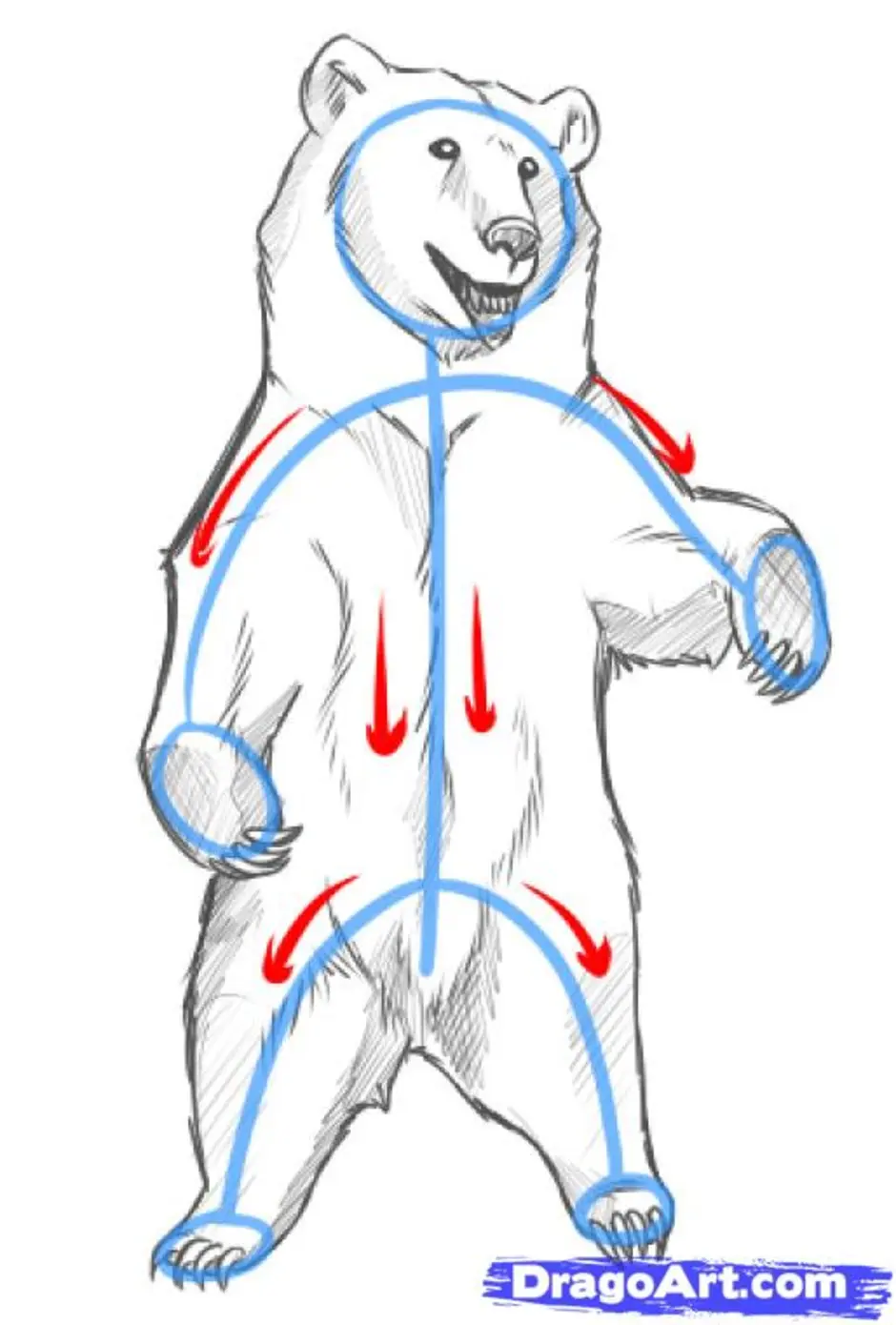 Медведь стоит рисованный