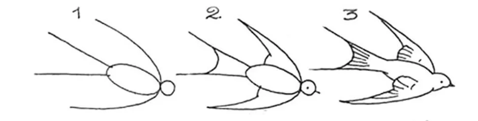 Ласточка нарисовать. Поэтапное рисование ласточки. Этапы рисования ласточки. Поэтапный рисунок ласточки. Нарисовать ласточку пошагово.
