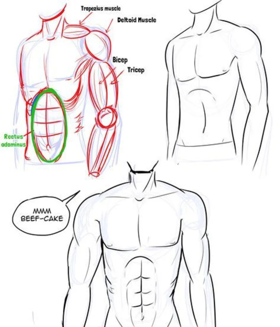 Как Нарисовать Мужское Тело (57 Фото)
