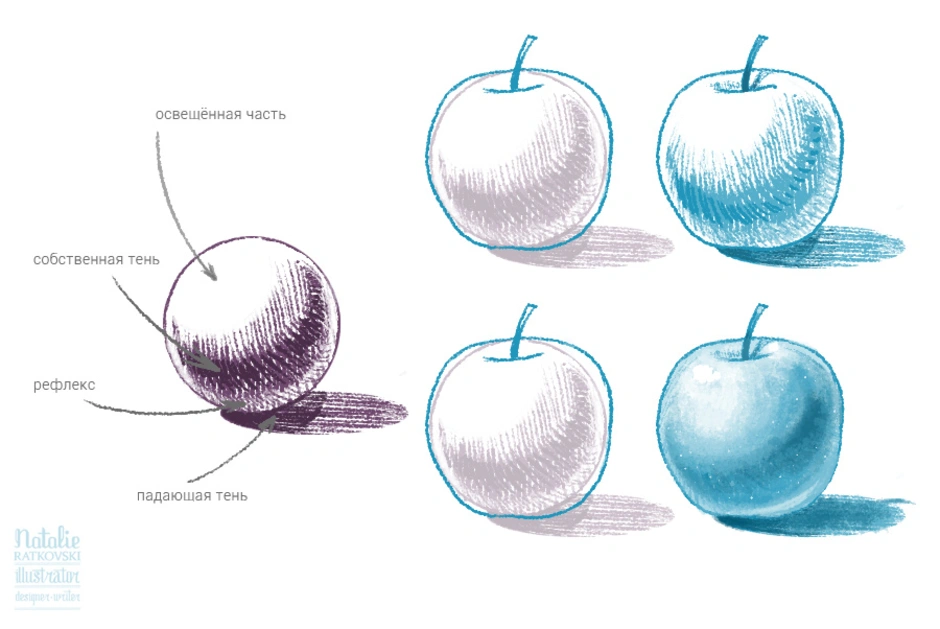 Как нарисовать яблоко карандашом поэтапно для начинающих с тенью