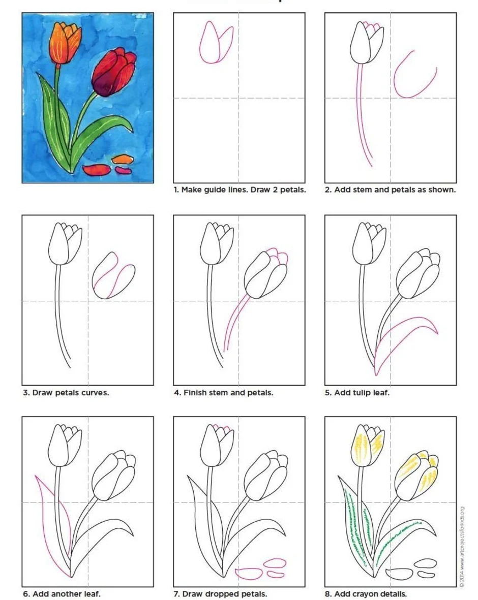 Как рисовать тюльпаны детям