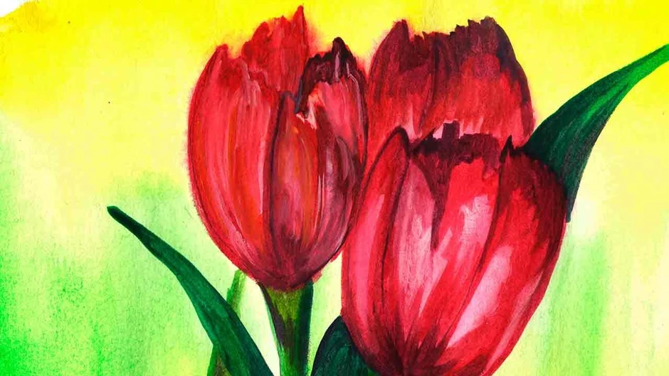 Рисунок тюльпаны красками гуашь