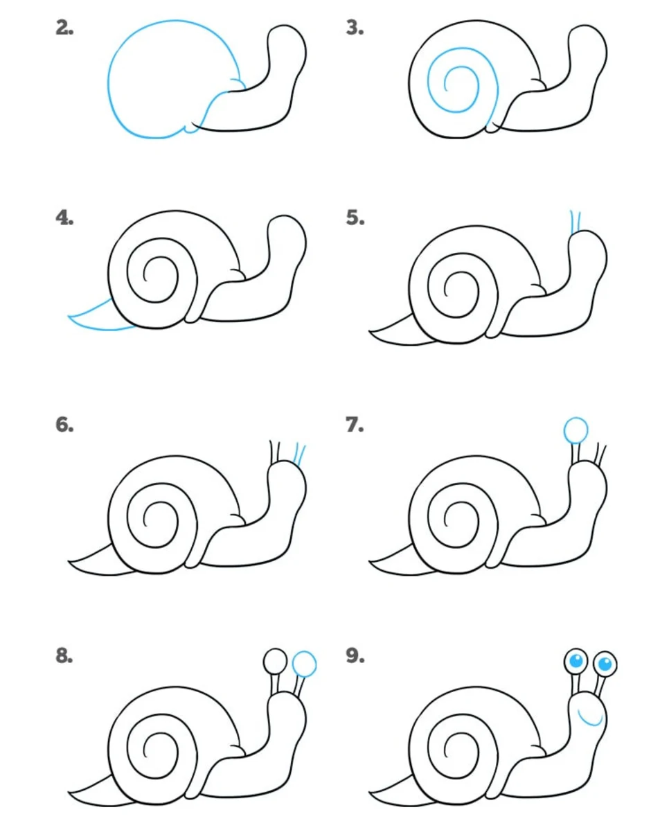 Как нарисовать маленькую улитку
