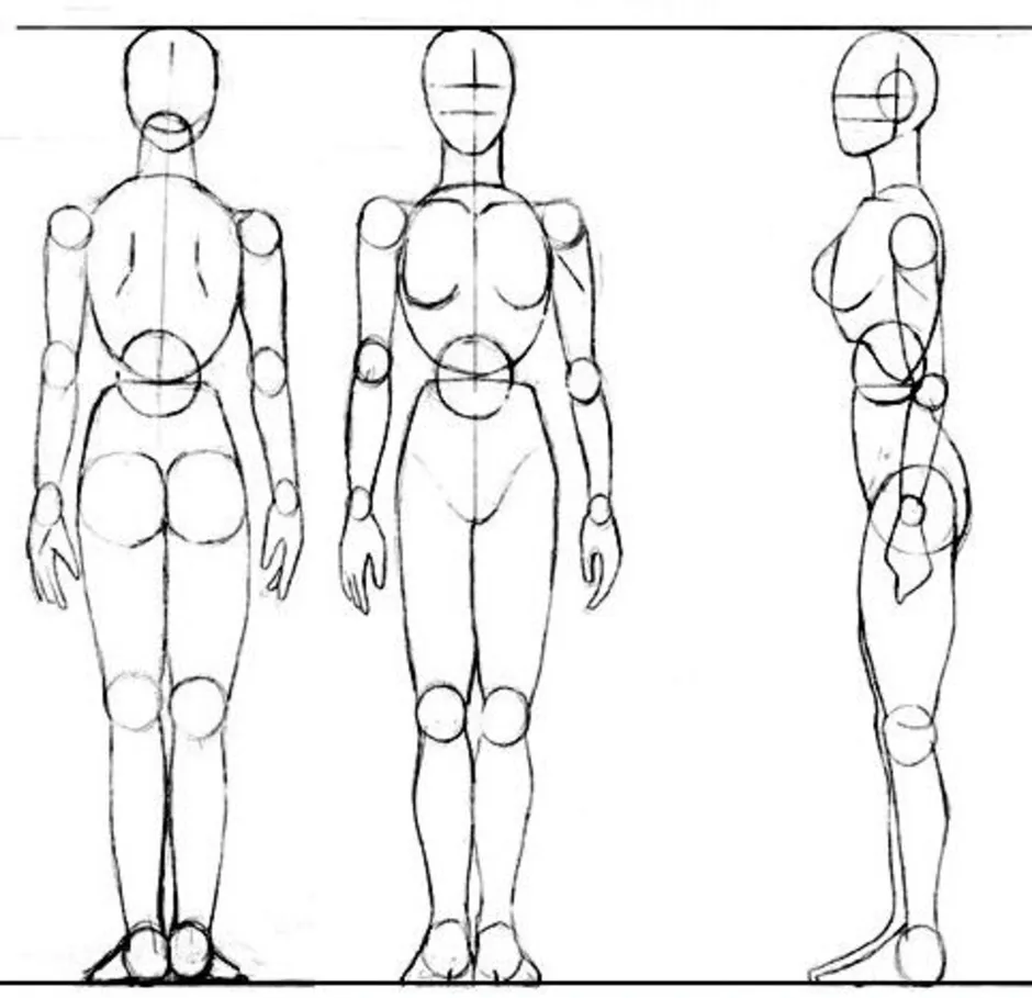 Схема женщины рисунок. Фигура человека боком. Пропорции тела женщины для рисования карандашом. Схема рисования тела с боку. Пропорции человека с боку.