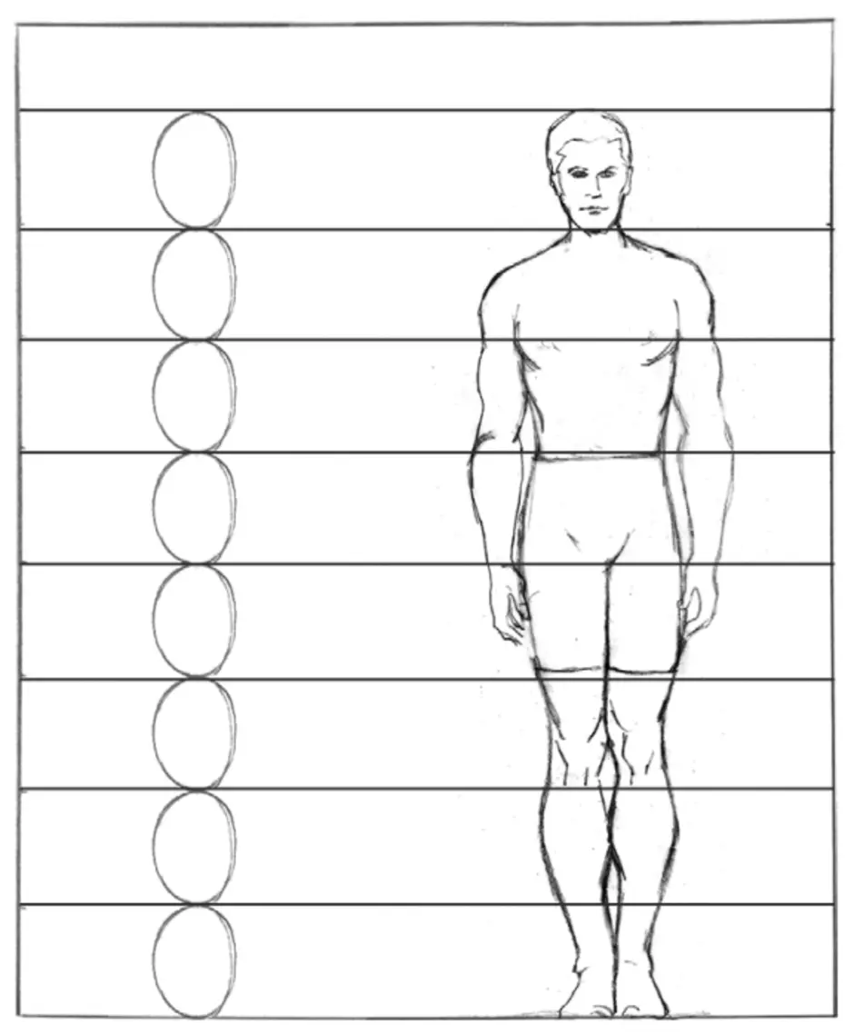 8 частей человека. Пропорции мужчины для рисования в полный рост. Как рисовать человека в полный рост пропорции. Пропорции тела человека рисунок. Фигура человека в полный рост пропорции.