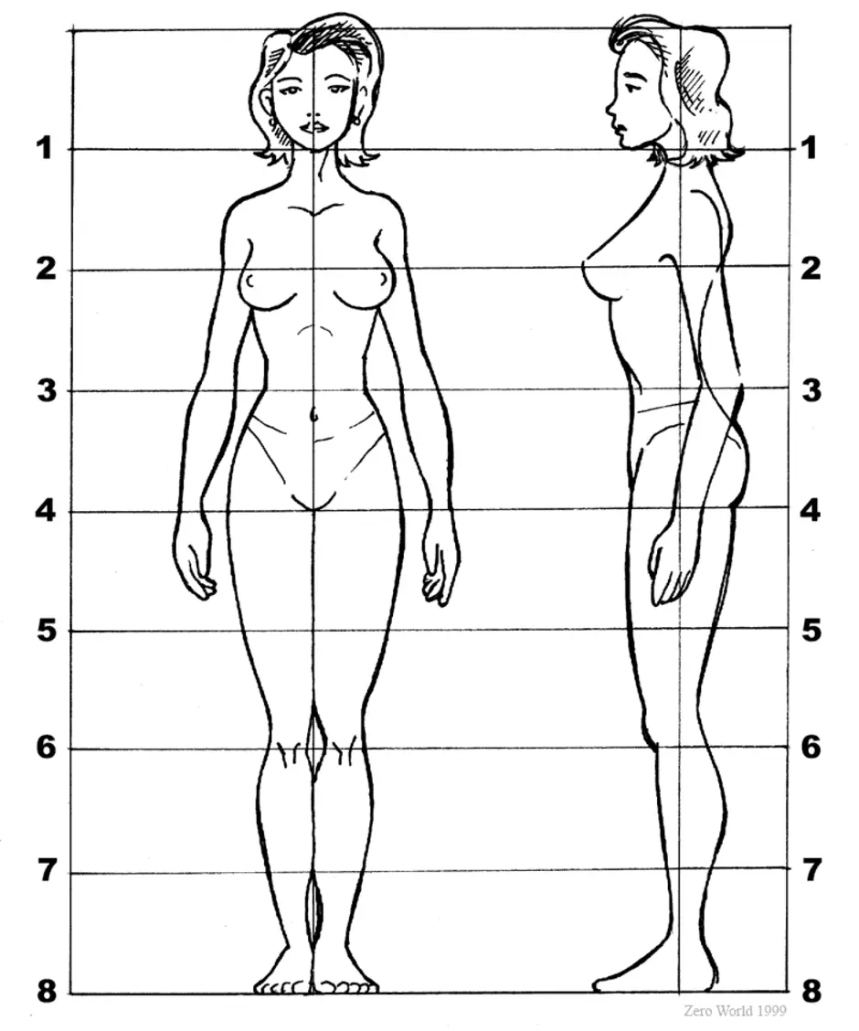 Картинки по параметрам найти. Пропорции женского тела в головах. Пропорции человека для рисования в полный рост. Построение тела человека пропорции. Построение человека в полный рост с пропорциями.