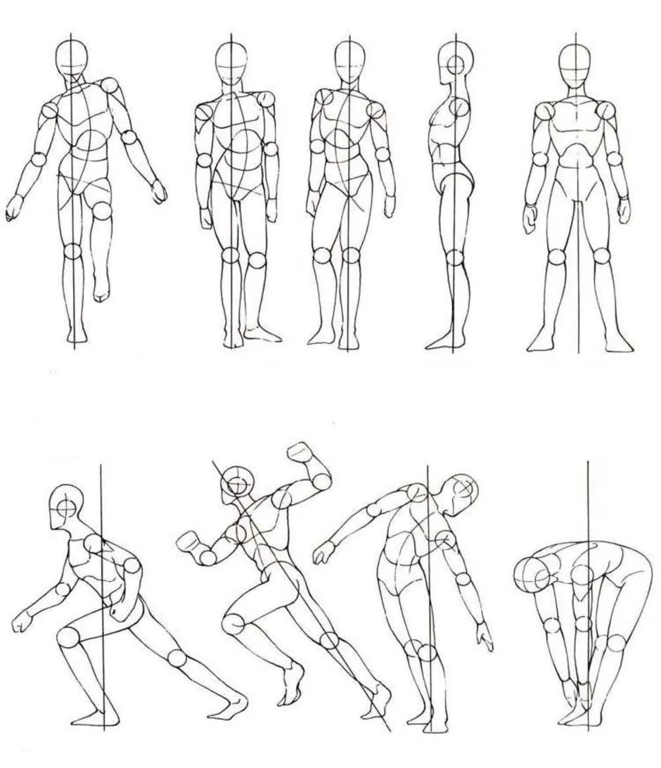 Рисунок человека корпус