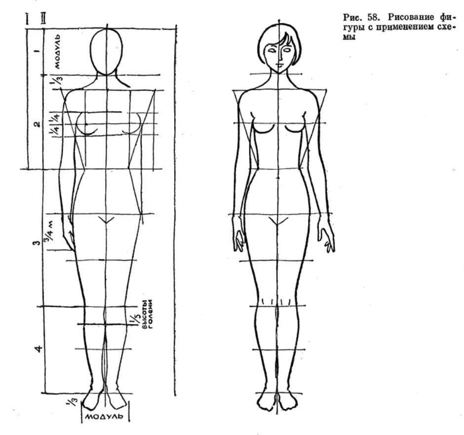 Пропорции человеческого тела для рисования схема