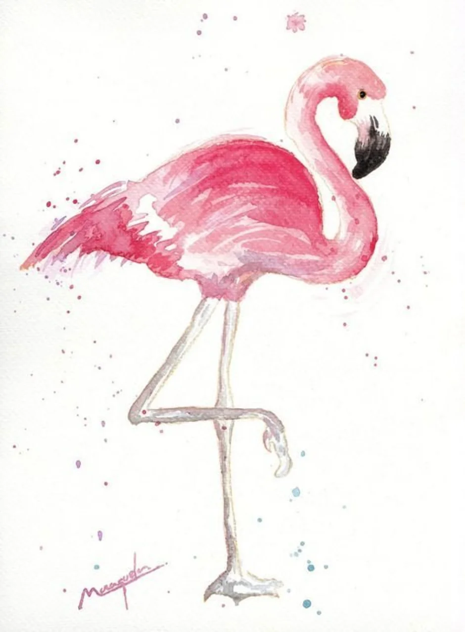 Фламинго легко. Фламинго акварель. Рисование Фламинго. Фламинго карандашом. Фламинго акварелью для детей.
