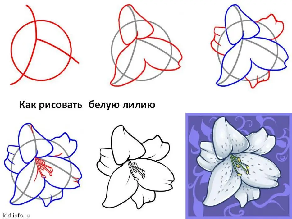 Что можно нарисовать цветы легко