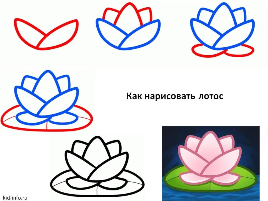 Пошаговые инструкции по рисованию цветка лотоса