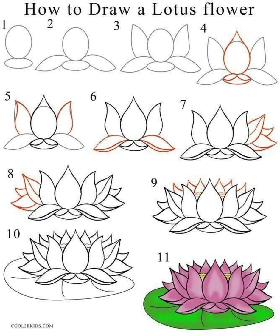 Как можно нарисовать цветок. Этапы рисования цветка. Цветы рисунок карандашом для детей. Рисование цветов для начинающих. Схемы рисования цветов.