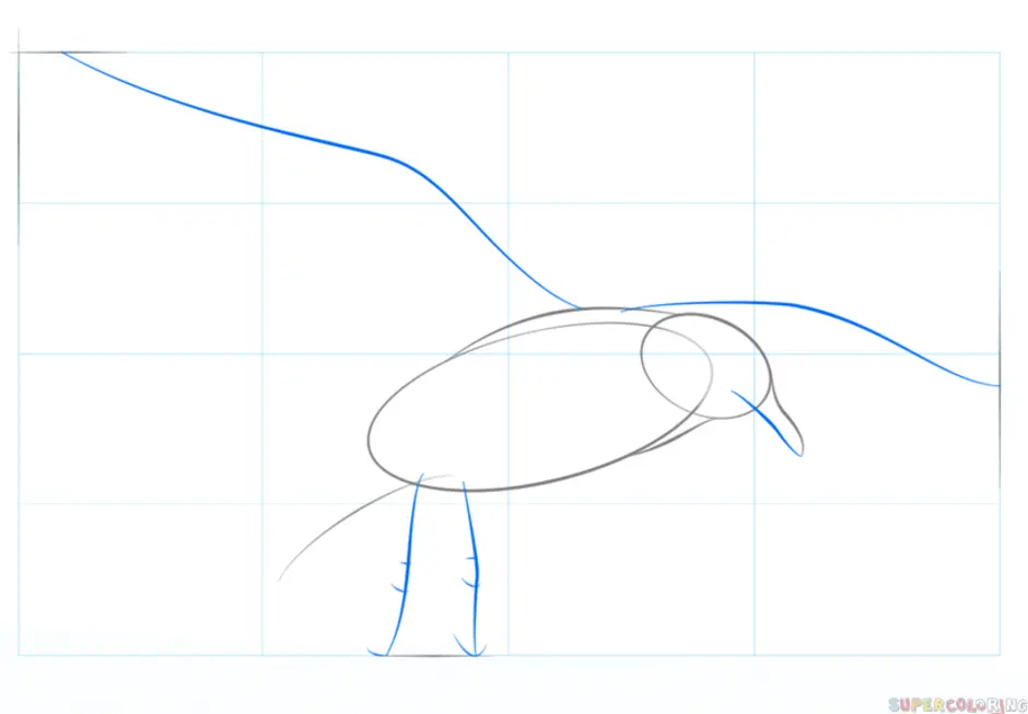 Как нарисовать чайку пошагово