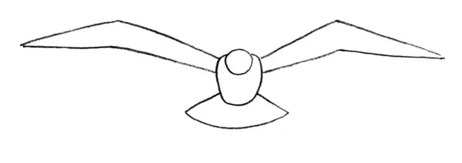 Как нарисовать чайку просто
