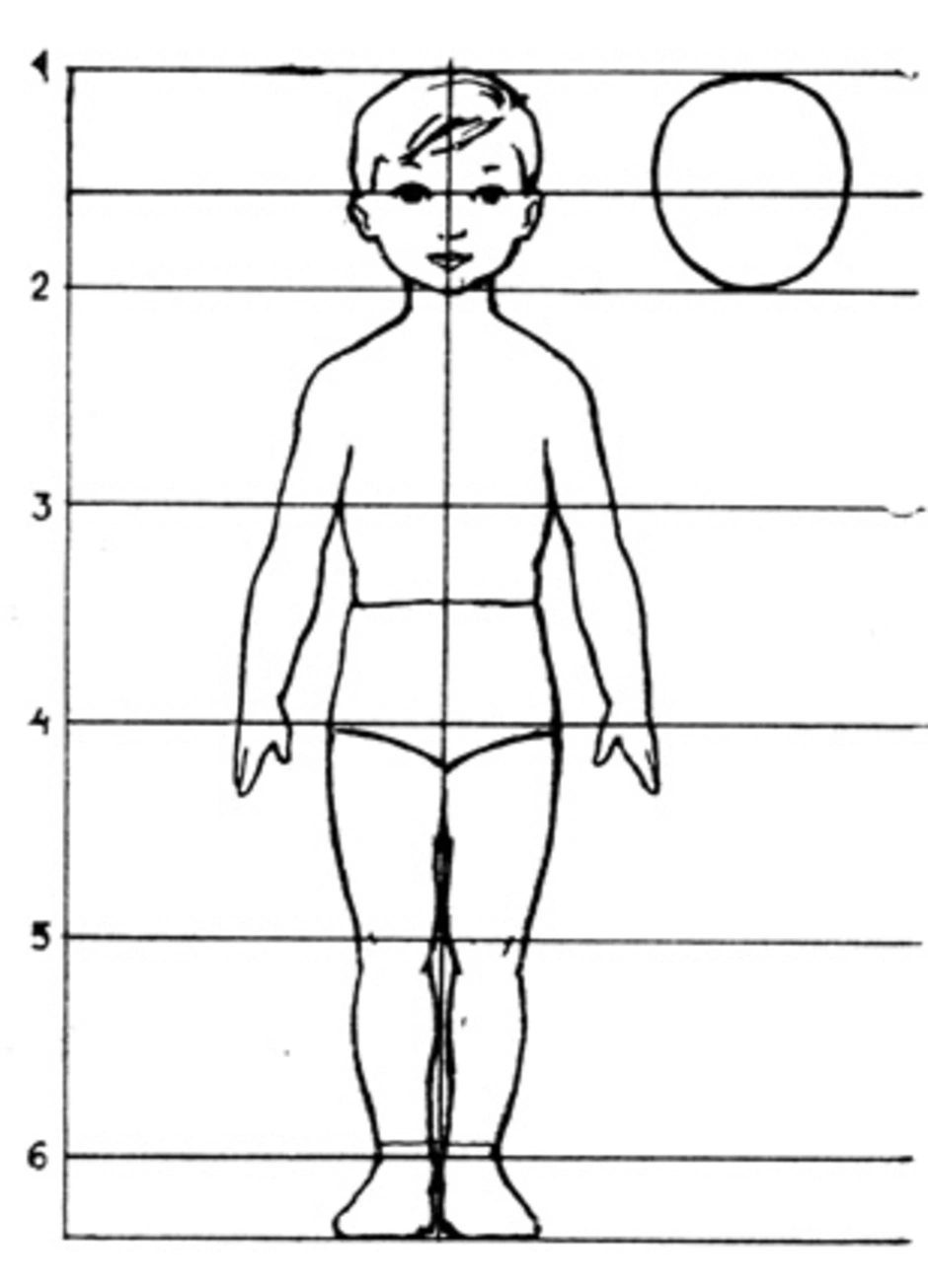 Схема человека для детей. Схема пропорций тела ребенка. Пропорции ребенка для рисования в полный рост. Схема пропорции тела ребенка для рисования. Пропорции тела ребенка 5-6 лет-.