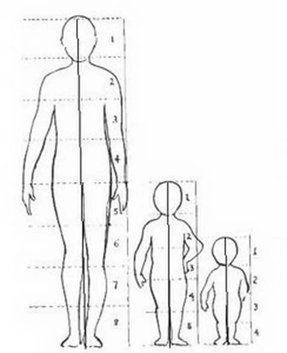 Схема человека для детей. Человек рисунок. Схематический рисунок человека. Пропорции человека для рисования для детей. Изображение фигуры человека.