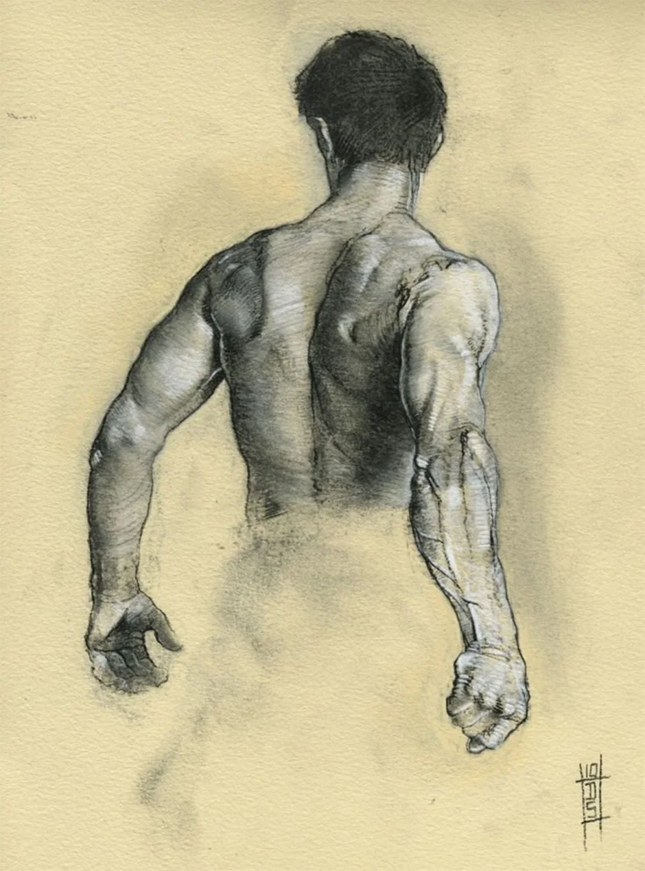Мужская спина рисунок