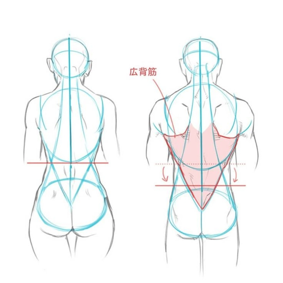 Как рисовать тело человека сзади