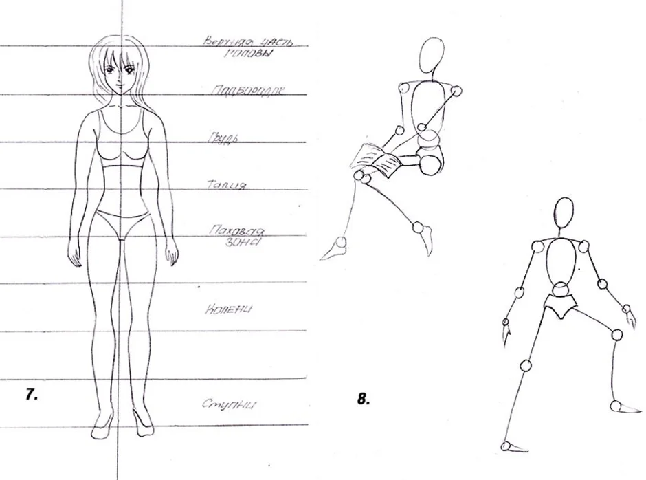 Как правильно нарисовать тело человека
