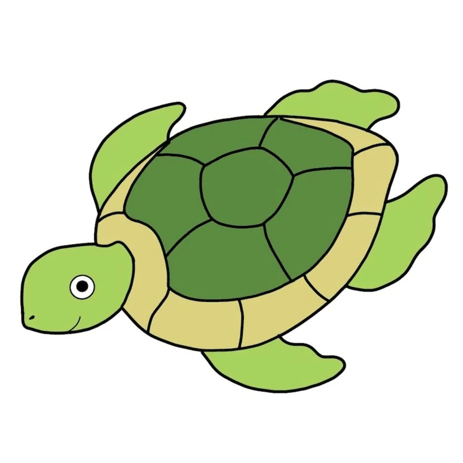 Turtle как рисовать