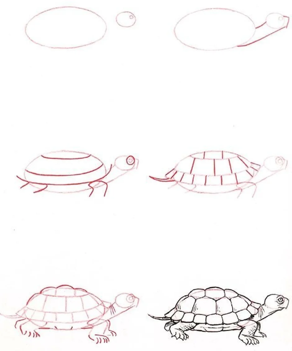 Turtle как рисовать