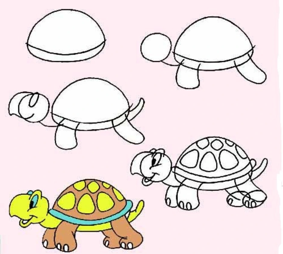 Черепаха средняя группа. Поэтапное рисование черепахи. Этапы рисования черепахи. Черепаха поэтапное рисование для детей. Рисование черепаха в старшей группе.