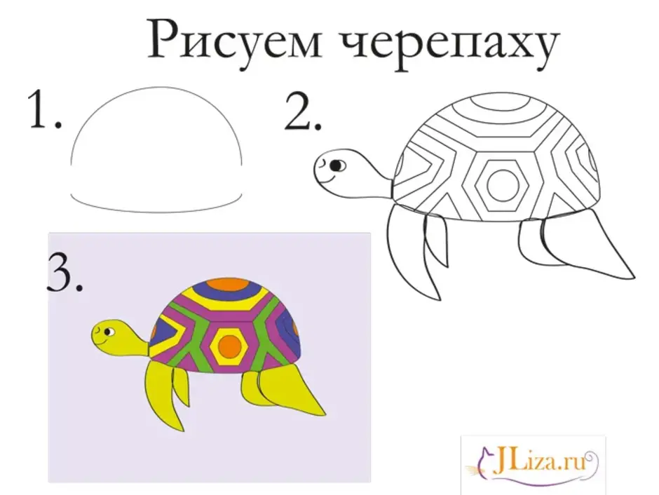 Как нарисовать черепаху ребенку 5