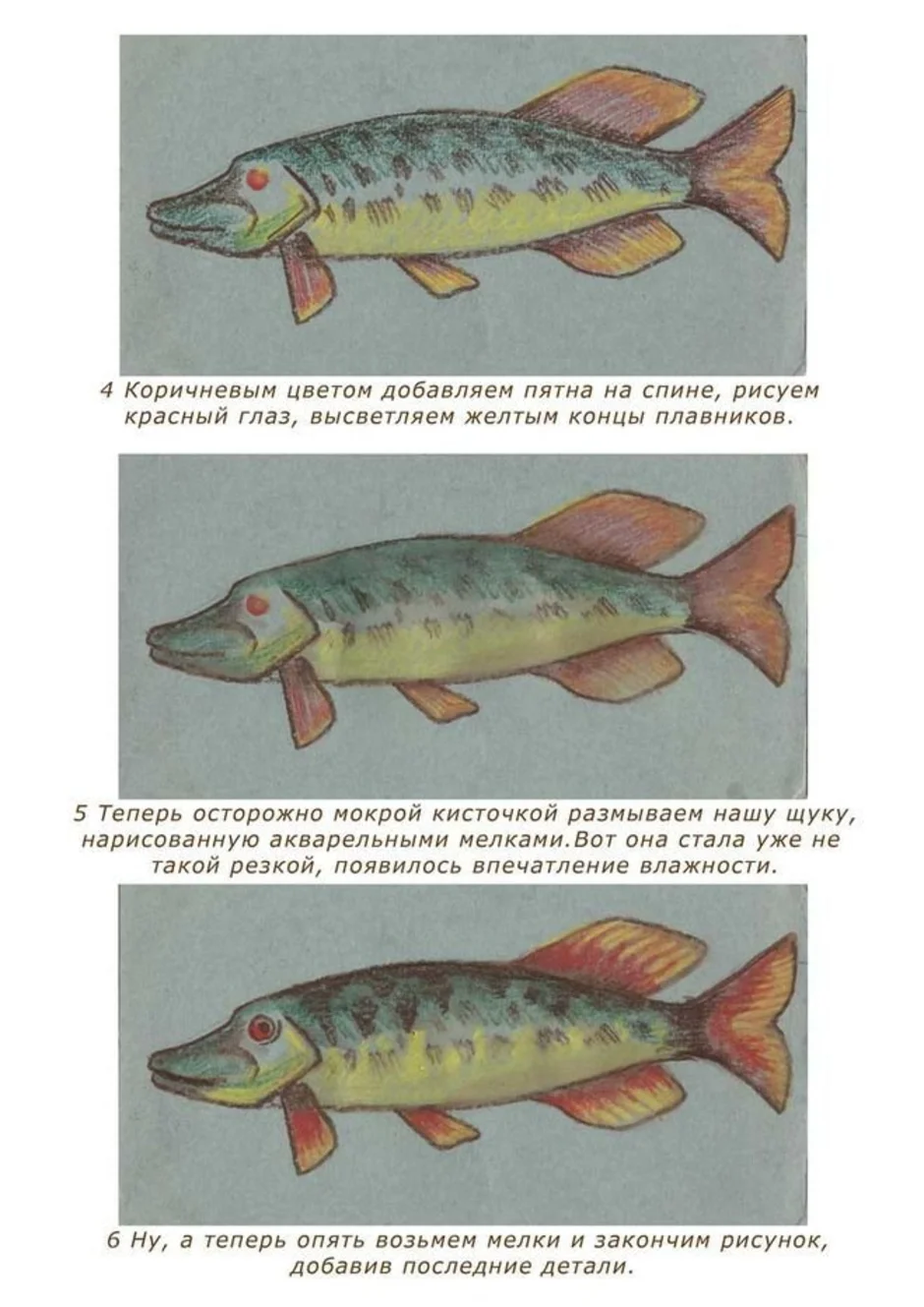Щука рисовать детям
